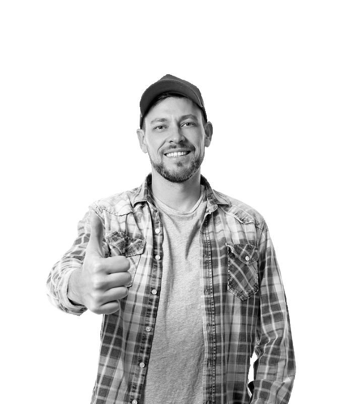 CDL segment avatar