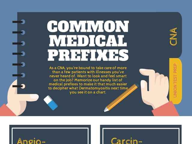  common medical prefixes.jpg