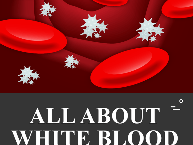all about white blood cells.png