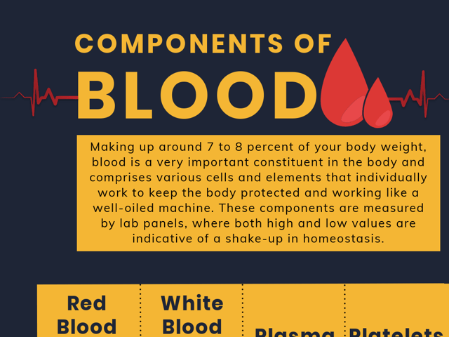 components of blood.png