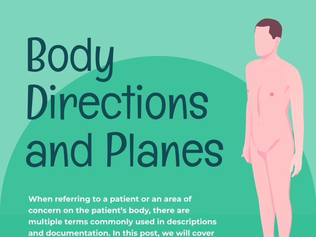 Body Directions and Planes