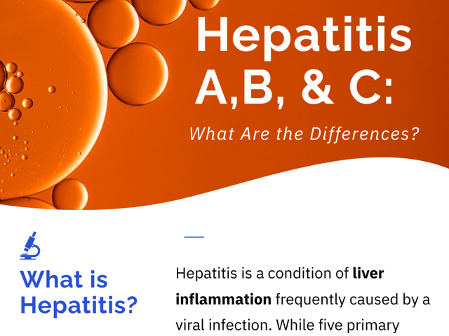 Hepatitis A, B, and C: What Are the Differences?