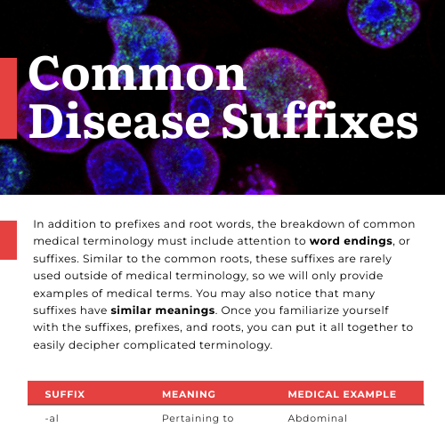 Common Disease Suffixes