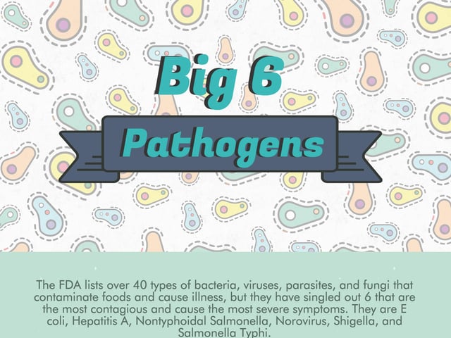 Big 6 Pathogens