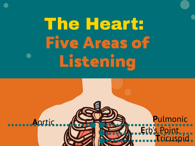 The Heart: Five Areas for Listening
