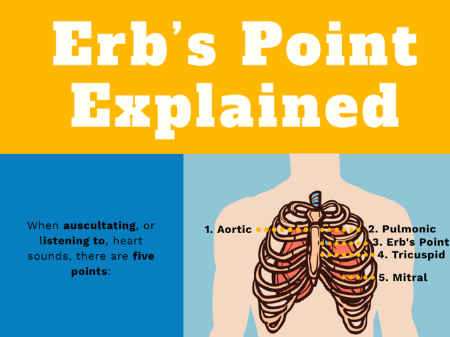 Erb’s Point Explained