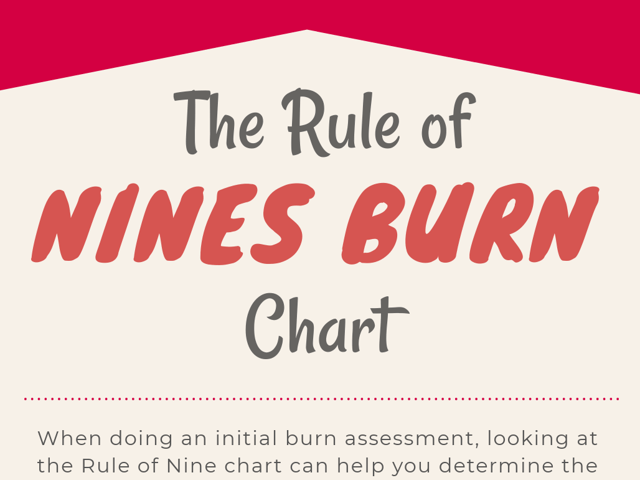 Burns in Adults: The Rule of Nine Chart