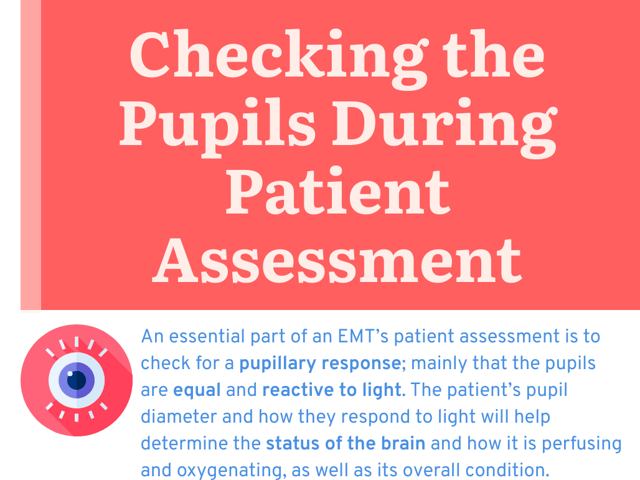 Checking the Pupils During Patient Assessment