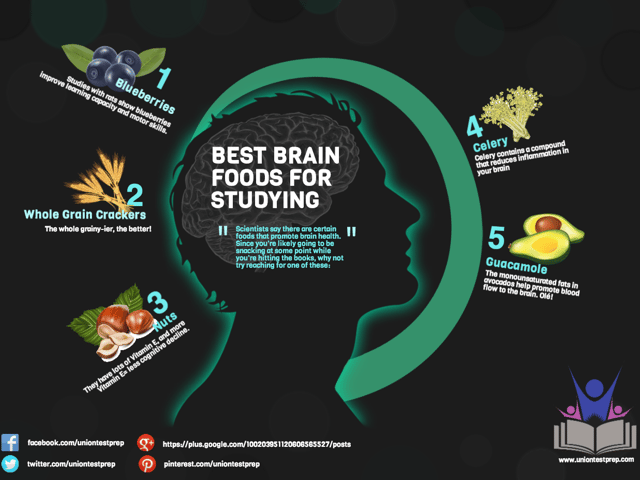 Best Brain Foods for Studying