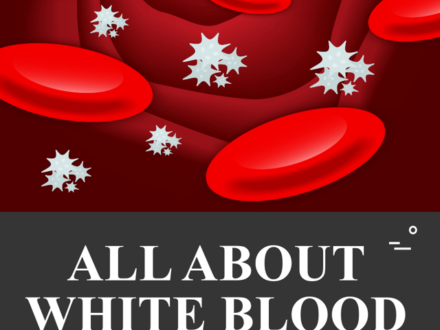 All About White Blood Cells