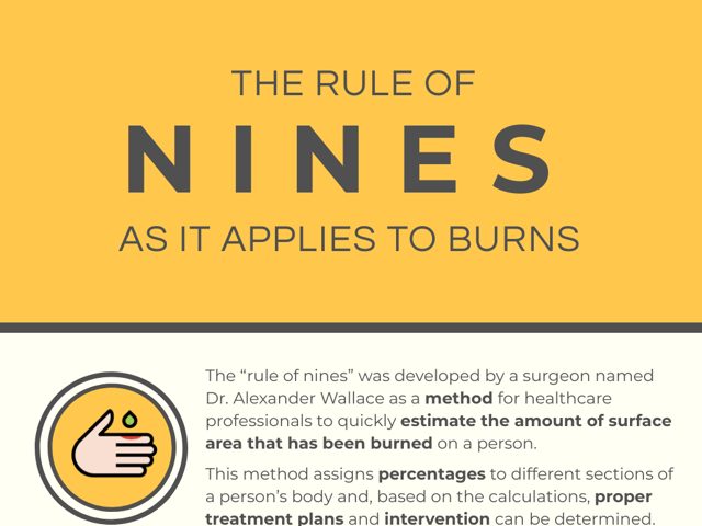 Burns and the Rule of Nines