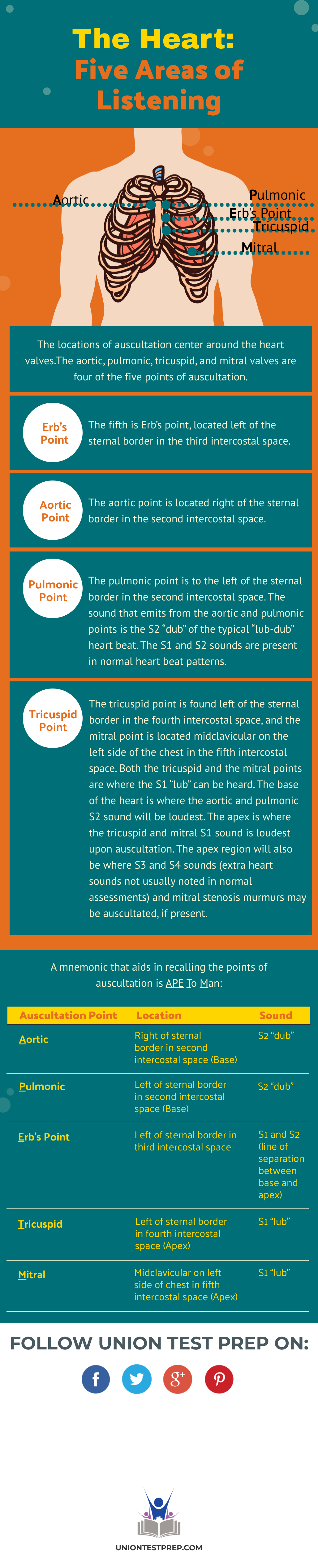 The Five Areas For Heart Auscultation