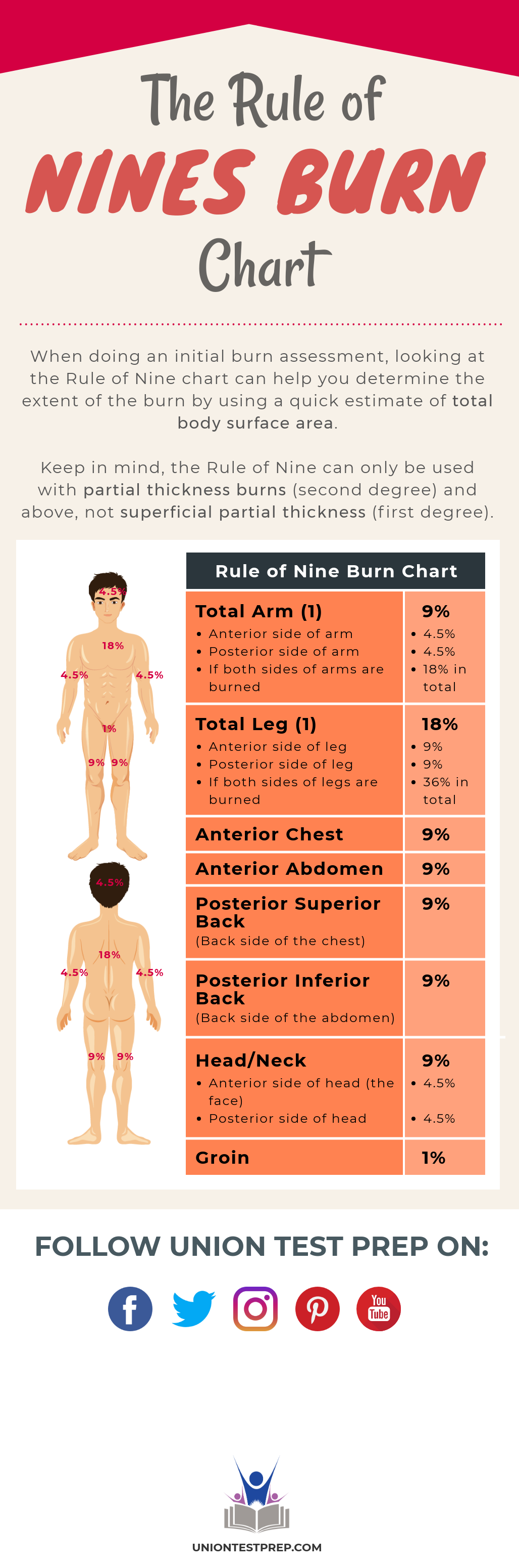 Rule of Nine Burn Chart