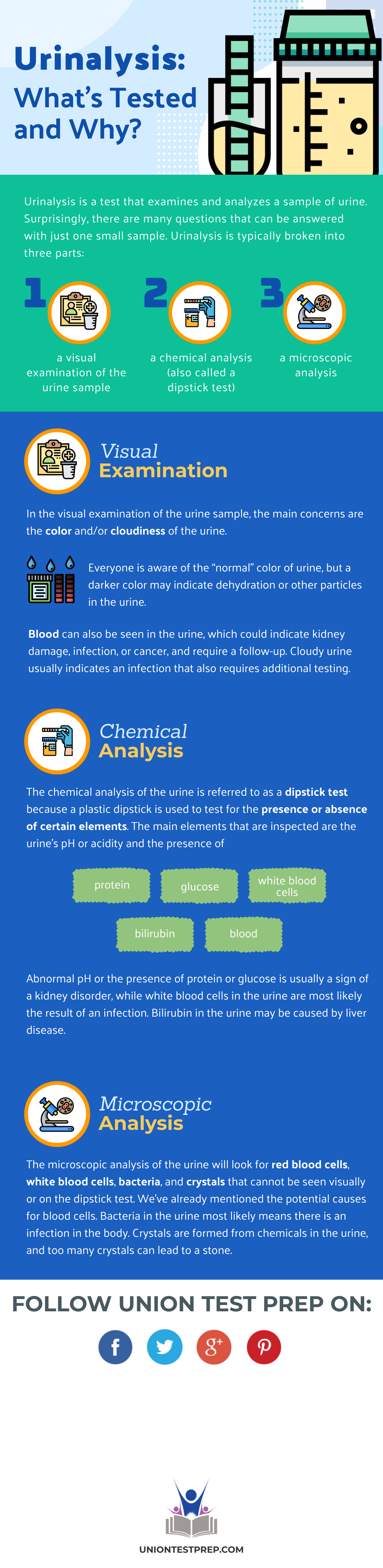 Urinalysis What's Tested