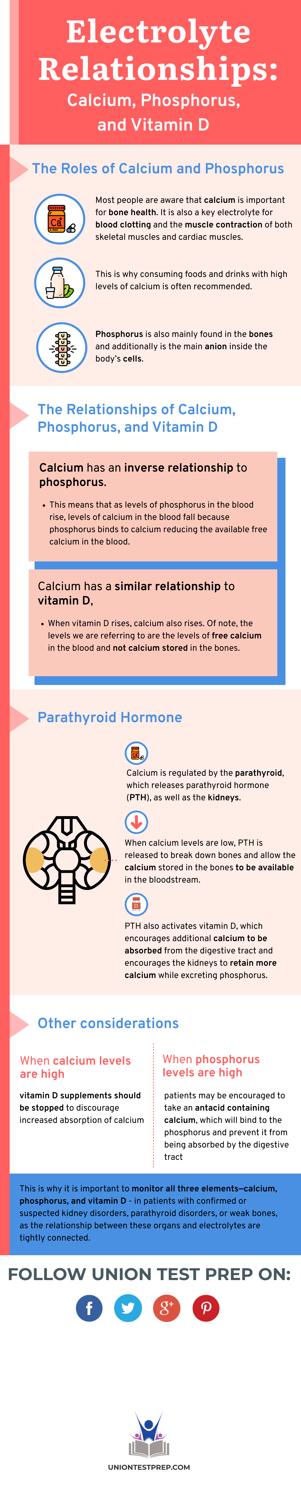 Relationship Between Calcium, Phosphorus, and Vitamin D