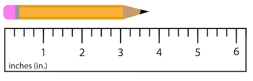 23 Measurement in Inches