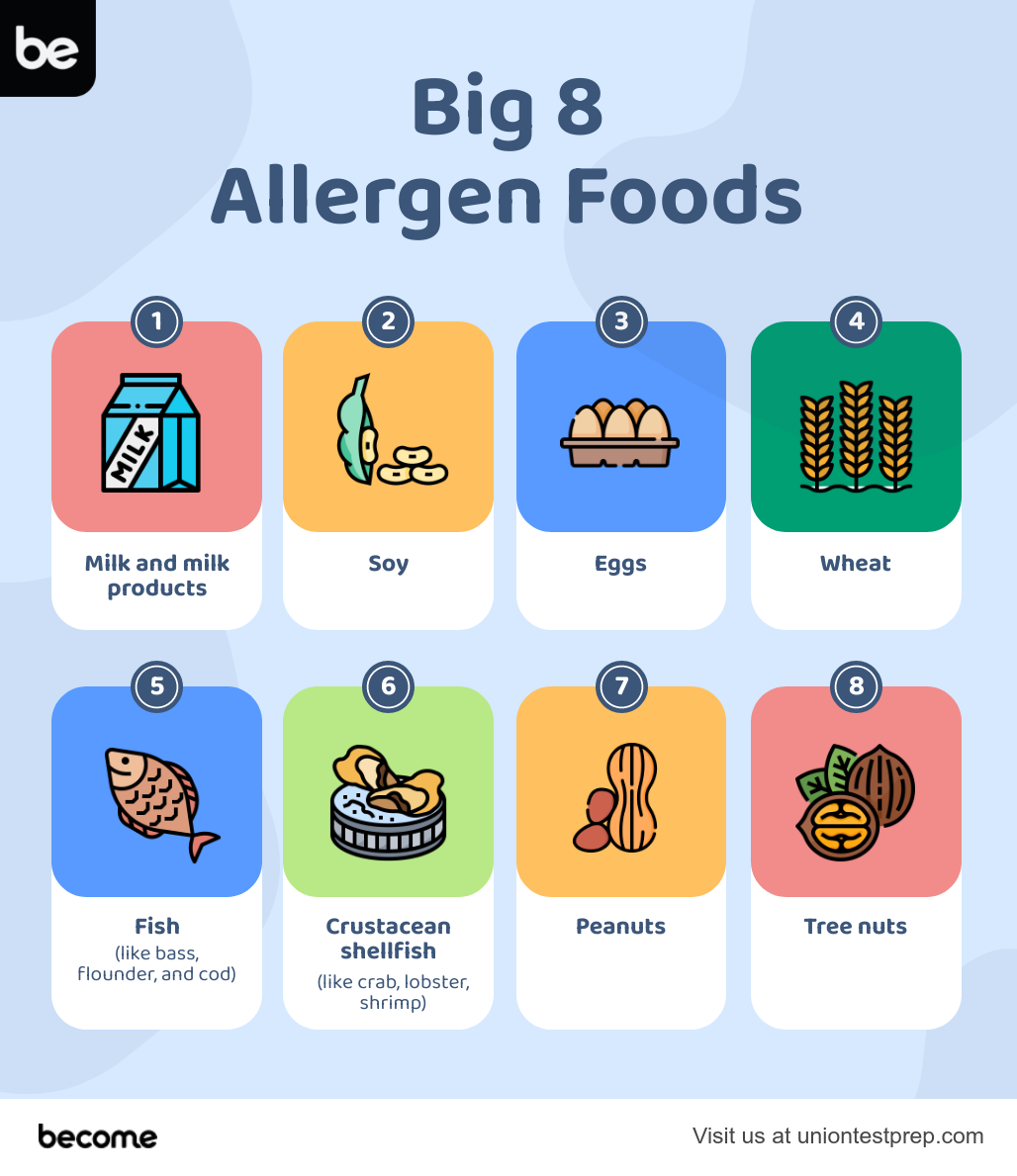 big-8-food-allergens.png